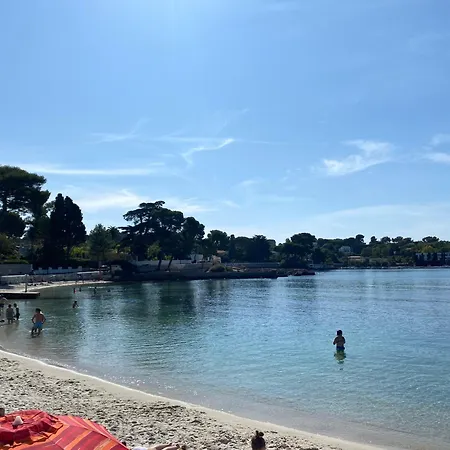 Appartement L'hippocampe Pres De La 3 Pieces, Terrasse